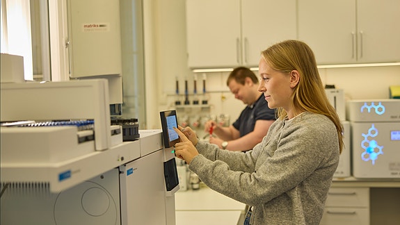 Bilde 3 av 4 i jobbannonse-galleriet