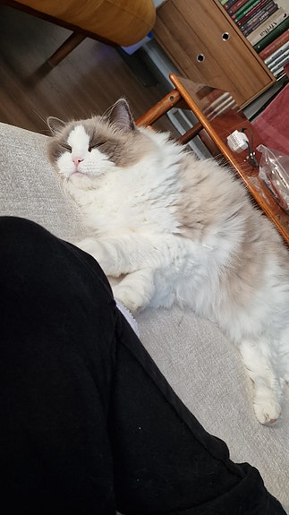 Product image 4 of 10