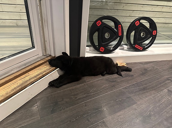 Product image 3 of 9