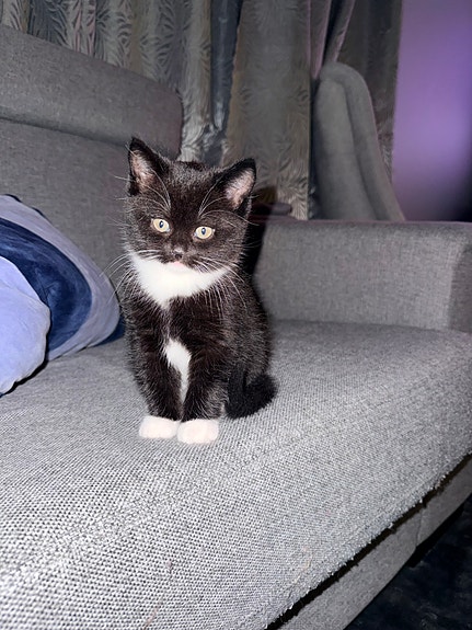 Product image 3 of 10