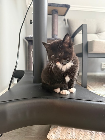 Product image 5 of 10