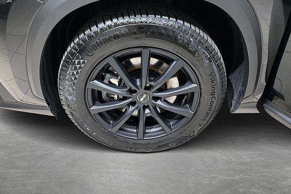 Lexus NX450h 20 of 21
