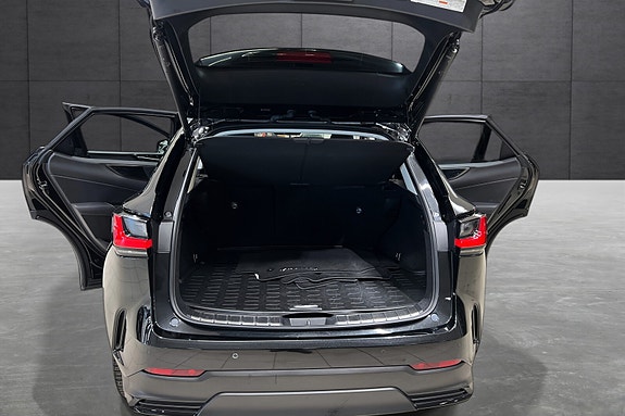 Lexus NX450h 18 of 21