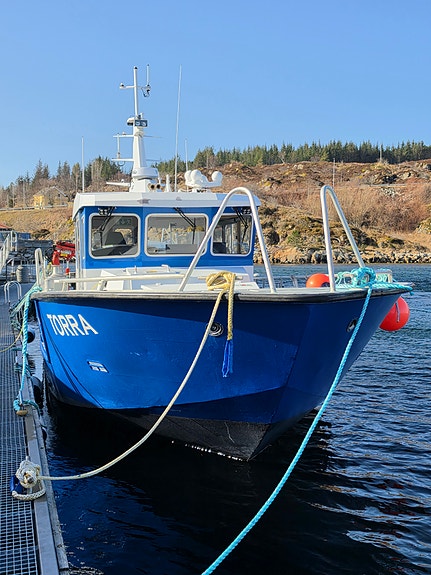 Stinger 1350 for utleie 2 of 30