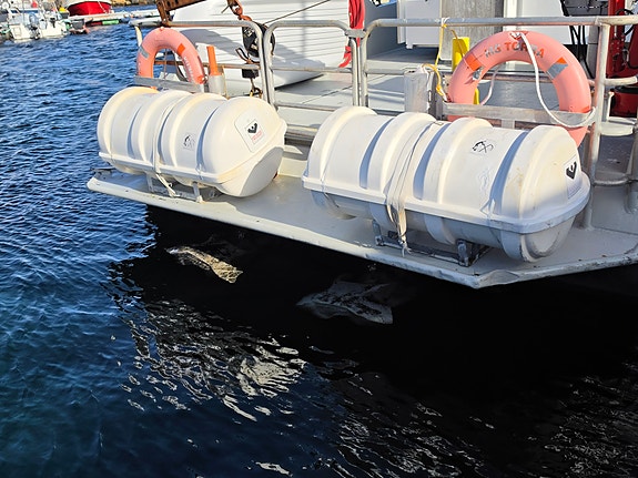 Stinger 1350 for utleie 6 of 30