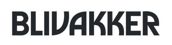 Brandsdal Group AS logo