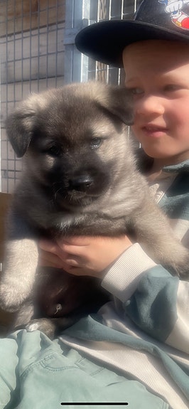 Product image 2 of 8