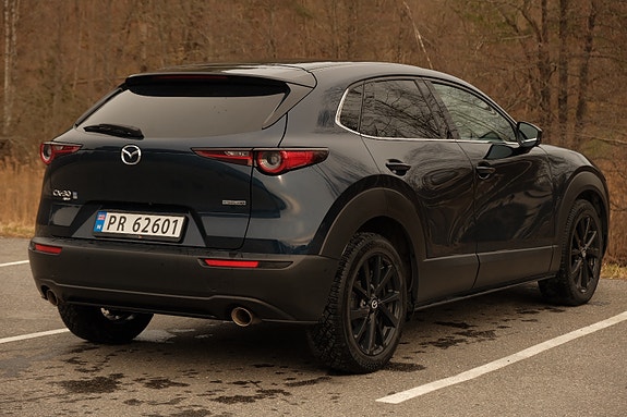 Mazda CX-30 19 of 30