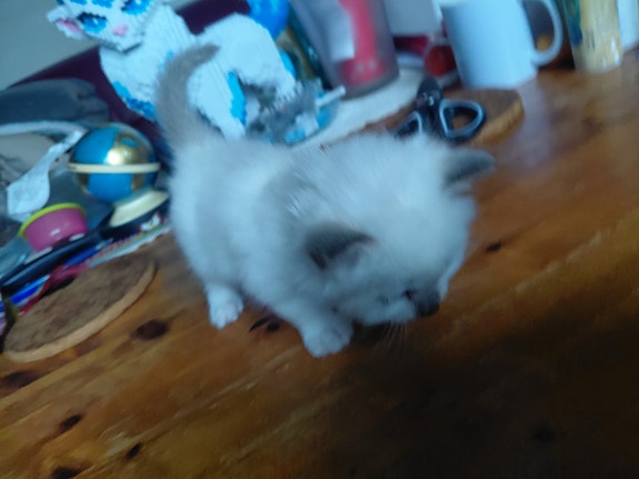 Product image 4 of 10