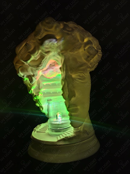 Product image 10 of 10