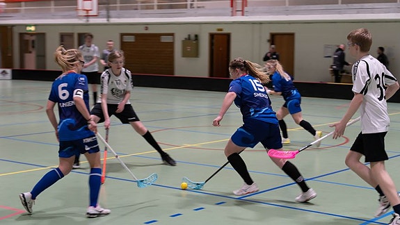 Bilde 4 av 6 i jobbannonse-galleriet