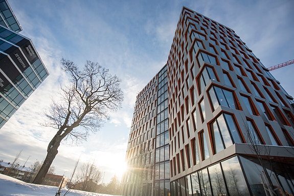 Bilde fra arbeidsgiver