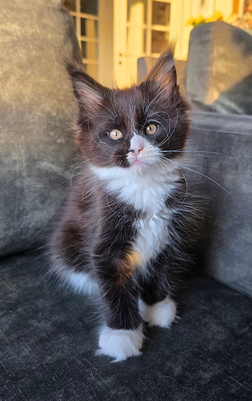 Product image 6 of 8