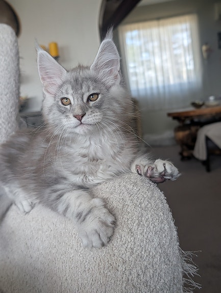 Product image 5 of 10