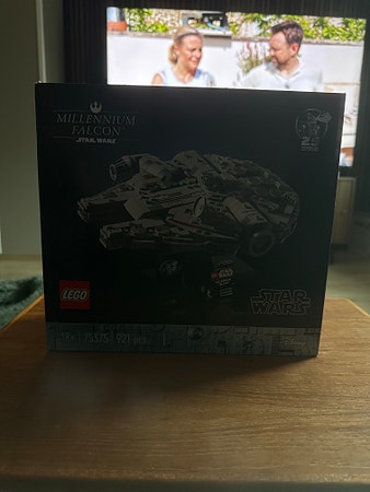 LEGO Star Wars TM 75375 Millennium Falcon