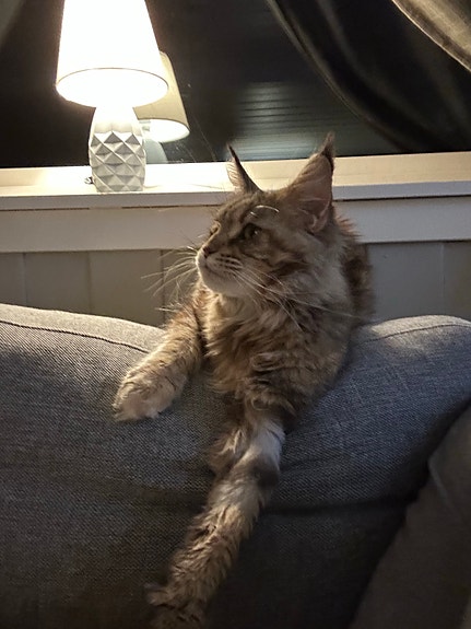 Product image 5 of 7