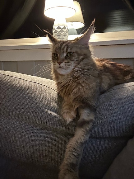 Product image 6 of 7