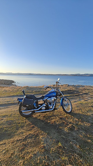 Harley-Davidson FXDWG Dyna Wide Glide 7 of 21