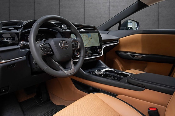 Lexus RZ450e 10 of 19