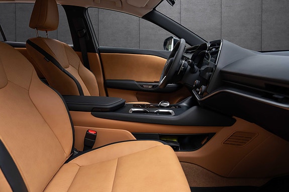 Lexus RZ450e 17 of 19