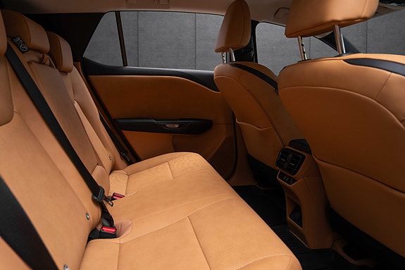 Lexus RZ450e 16 of 19
