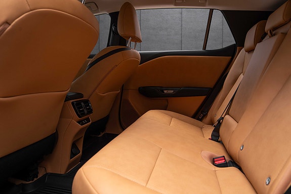 Lexus RZ450e 15 of 19