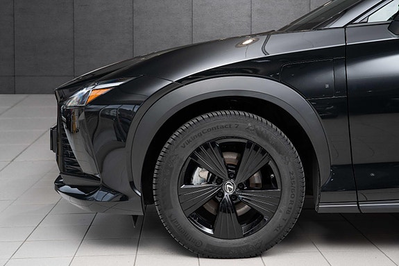Lexus RZ450e 19 of 19