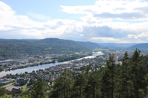 Buskerud fylkeskommune, Drift logo