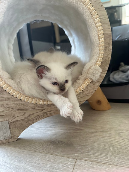 Product image 7 of 9