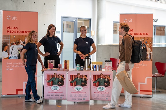 Bilde 1 av 4 i jobbannonse-galleriet