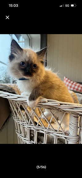 Product image 2 of 7