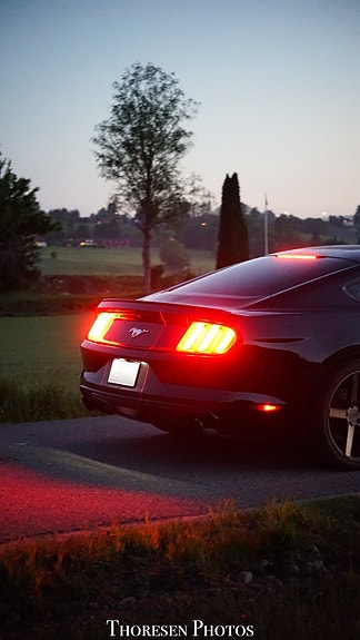 Ford Mustang 7 of 30
