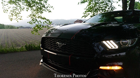 Ford Mustang 6 of 30