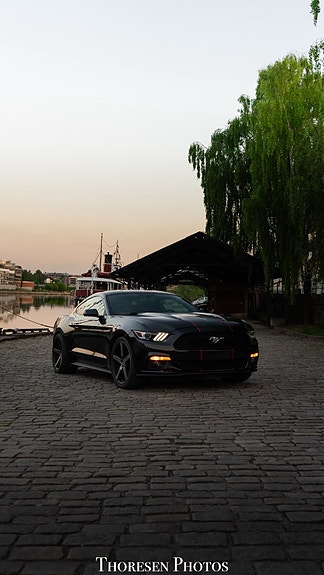 Ford Mustang 3 of 30