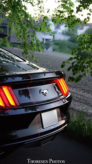Ford Mustang 8 of 30