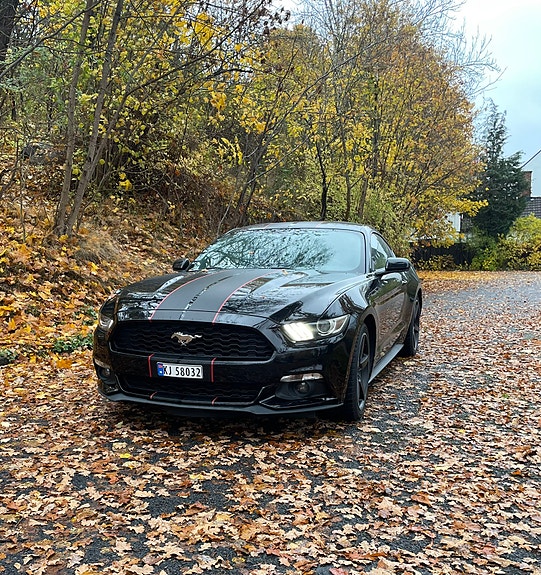 Ford Mustang 9 of 30