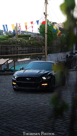 Ford Mustang 5 of 30
