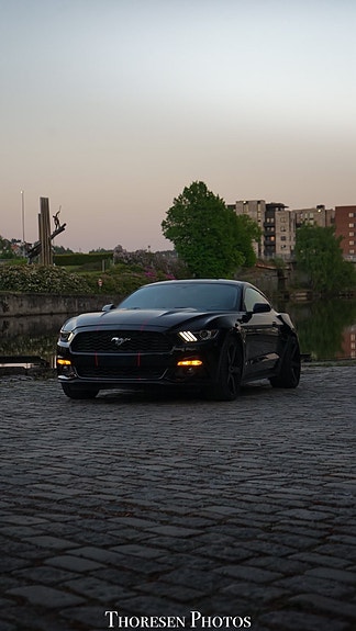 Ford Mustang 2 of 30
