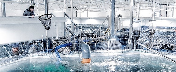 Bilde 1 av 3 i jobbannonse-galleriet