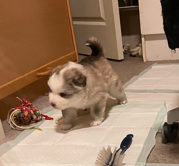 Product image 7 of 10