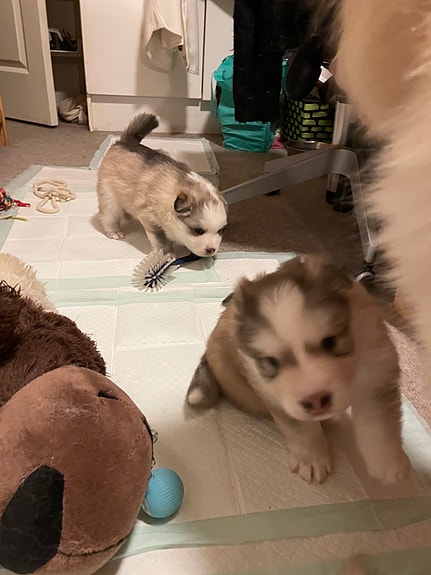 Product image 8 of 10