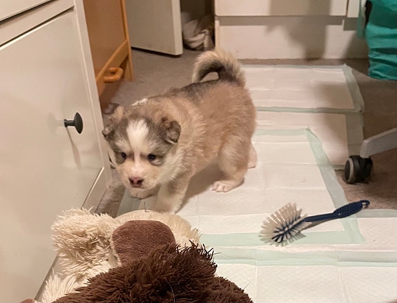 Product image 6 of 10