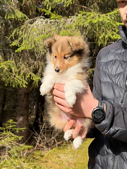 Product image 3 of 8