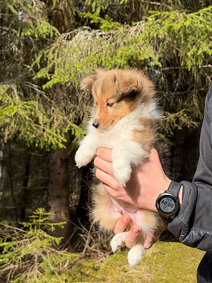 Product image 4 of 8