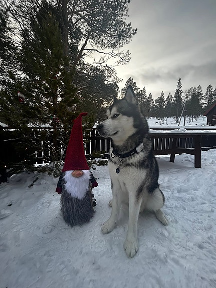 Product image 4 of 9