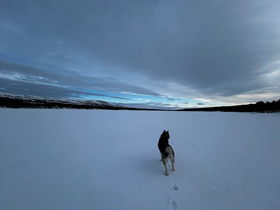 Product image 5 of 9