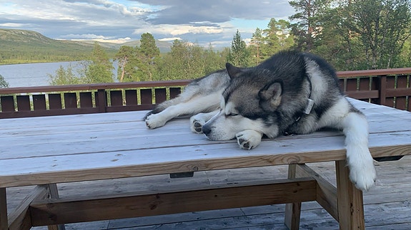 Product image 3 of 9