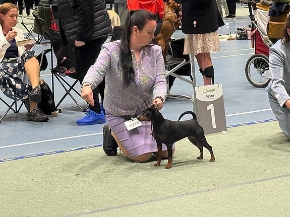 Product image 9 of 10