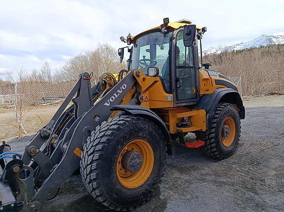 Volvo L50H