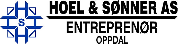 Hoel & Sønner AS logo